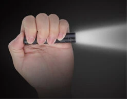 Fenix LED Lampe LD02 -Sackundpack Geschäfte FEld02 c